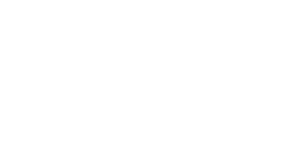 다이아몬드넷 logo